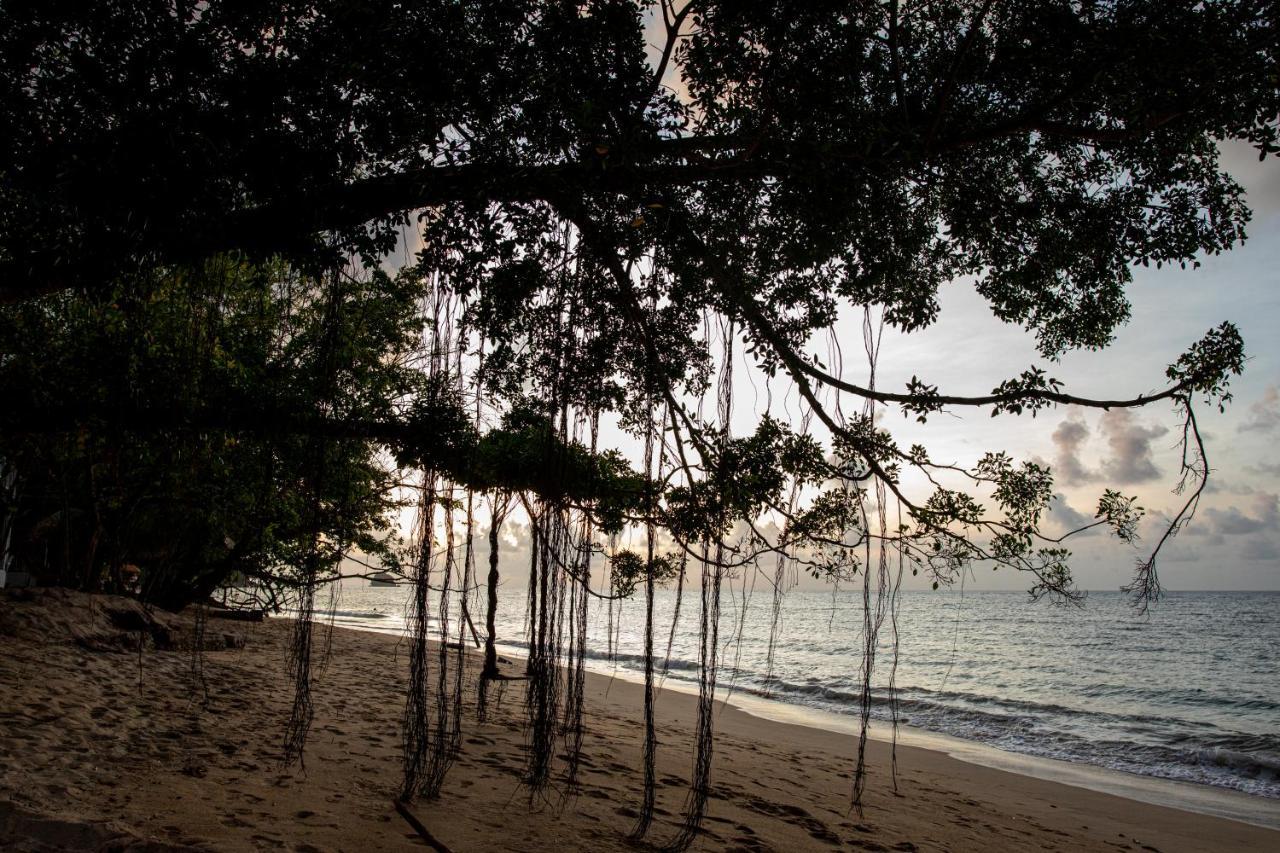 Tioman Cabana Bed & Breakfast Kampong Ayer Batang Εξωτερικό φωτογραφία
